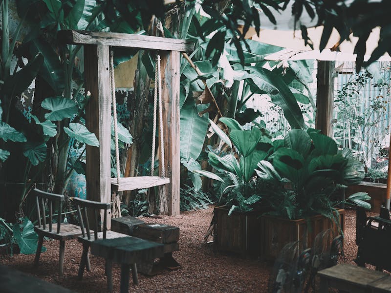 **Savjeti za Uređenje i Održavanje Vrtova: Kako Stvoriti Savršenu Oazu u Vašoj Bašti** - Fourth Image