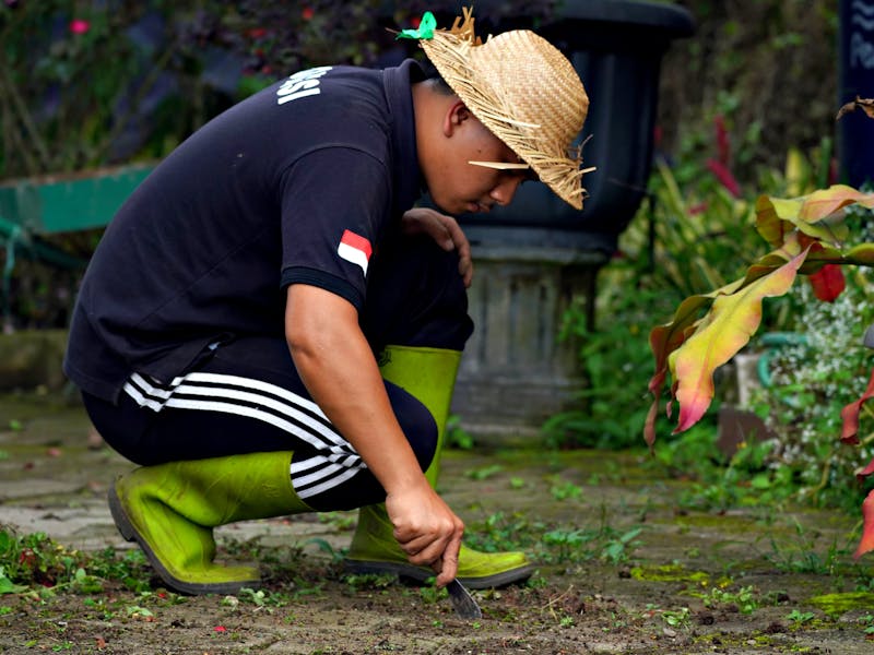 **Vrt i Bašta 2023: Najbolje Biljke za Sadnju i Savjeti za Uspješan Uzgoj** - Third Image