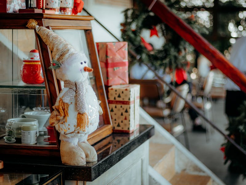 ** Savjeti za Unos Duh Sjevera u Vaš Prostor** - Fourth Image