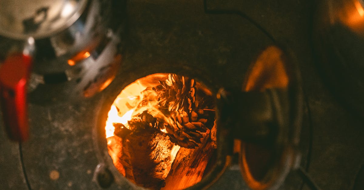 Zagrijte Svoj Dom: Najpopularnije Palete Boja za Udobnost i Stil