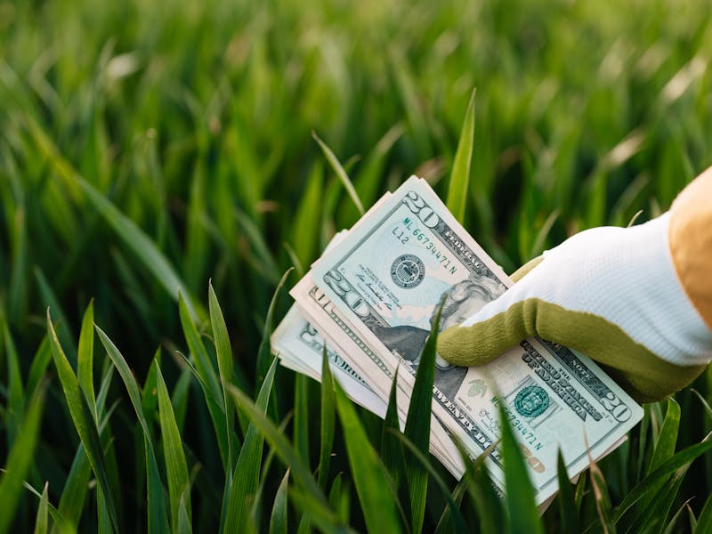 **Kako Zaraditi Novac od Baštovanstva: Savjeti za Uspješan Uzgoj i Prodaju Biljaka** - Second Image