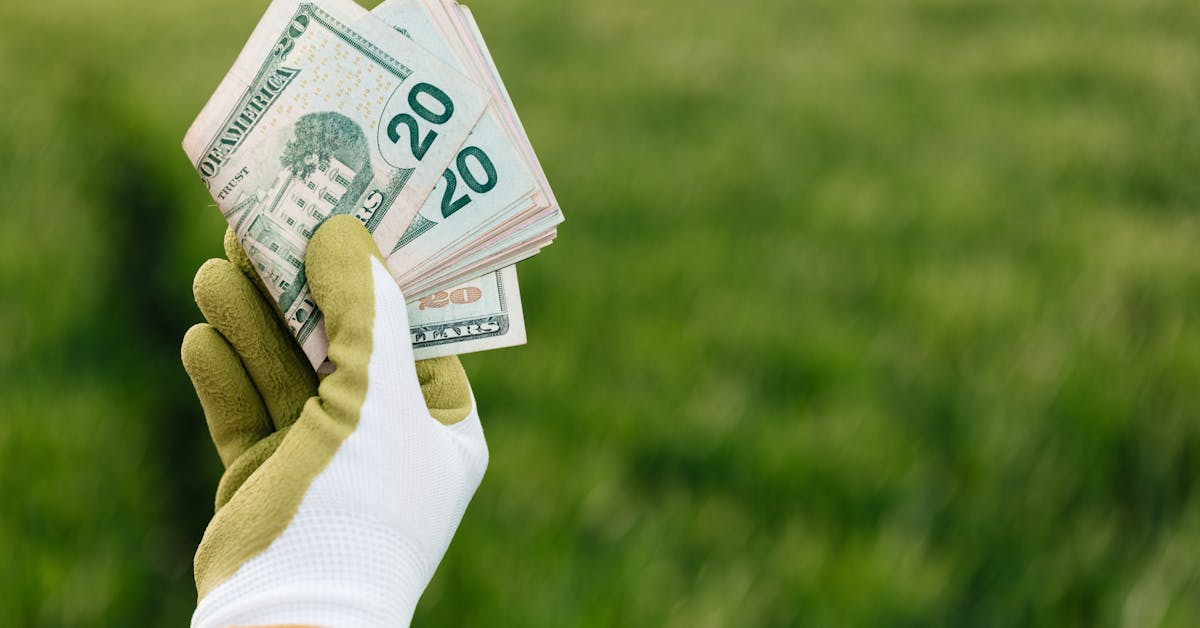 Kako Zaraditi Novac Od Baštovanstva: Savjeti za Uspješan Vrt i Dodatni Prihod