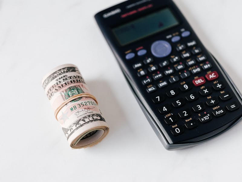 **Kako Zaraditi Novac Od Baštovanstva: 5 Praktičnih Ideja za Profitabilno Sadnju** - Third Image