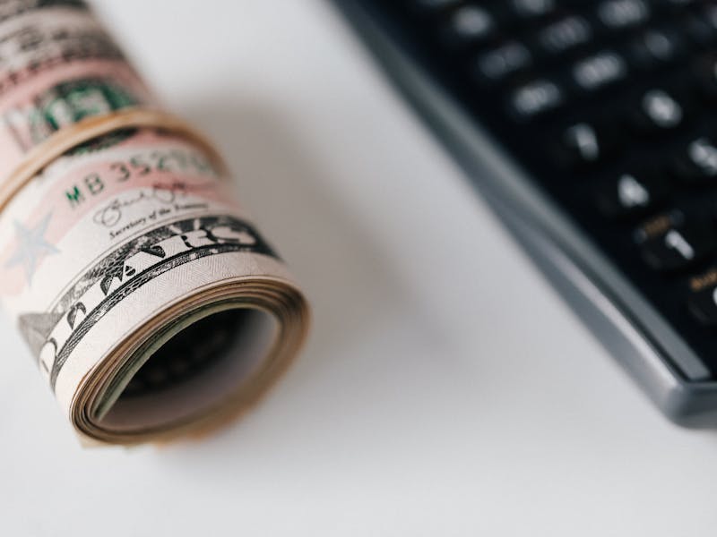 **Kako Zaraditi Novac Od Baštovanstva: Vodič za Profitabilno Sađenje i Prodaju Biljaka** - Third Image