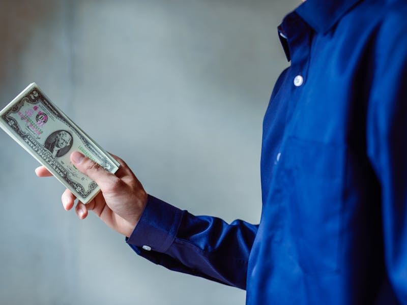 **Kako Zaraditi Novac Od Baštovanstva: Savjeti za Uspješan Vrt i Dodatni Prihod** - Third Image