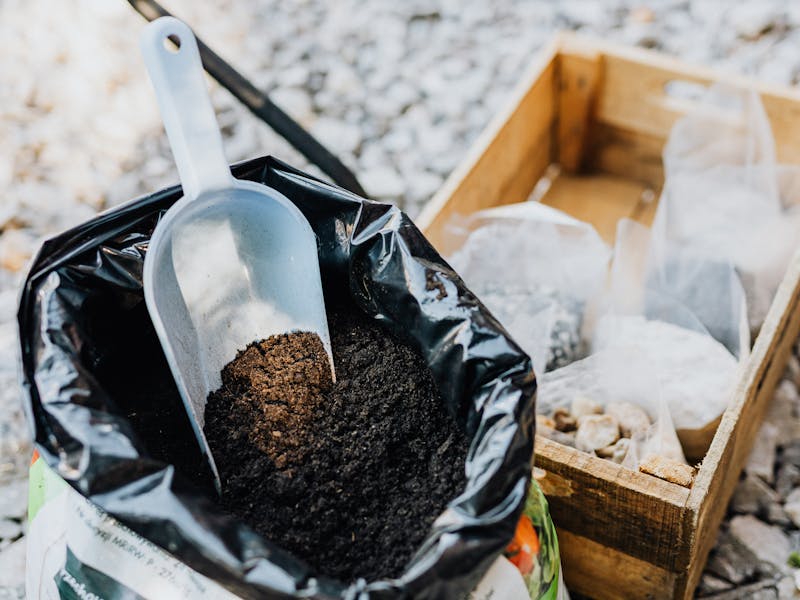 **Savjeti za Uspješan Vrt: Kako Stvoriti Oazu Ljepote i Plodnosti u Vašoj Bašti** - Second Image