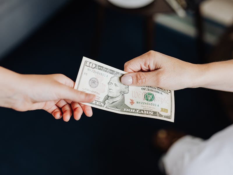 **Kako Zaraditi Novac Uzgojem Biljaka u Bašti: Savjeti za Uspješan Biznis** - Second Image