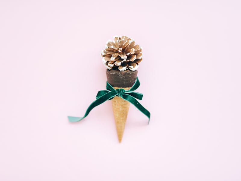 **DIY Kreativne Ideje za Unikatne Projekte: Inspiracija za Dekoraciju, Poklone i Uređenje Vrtova** - Second Image