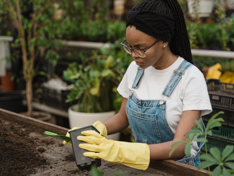 **Najbolje Biljke za Sadnju u Proljeće 2023: Savjeti za Pripremu Vrta i Održavanje** - Third Image