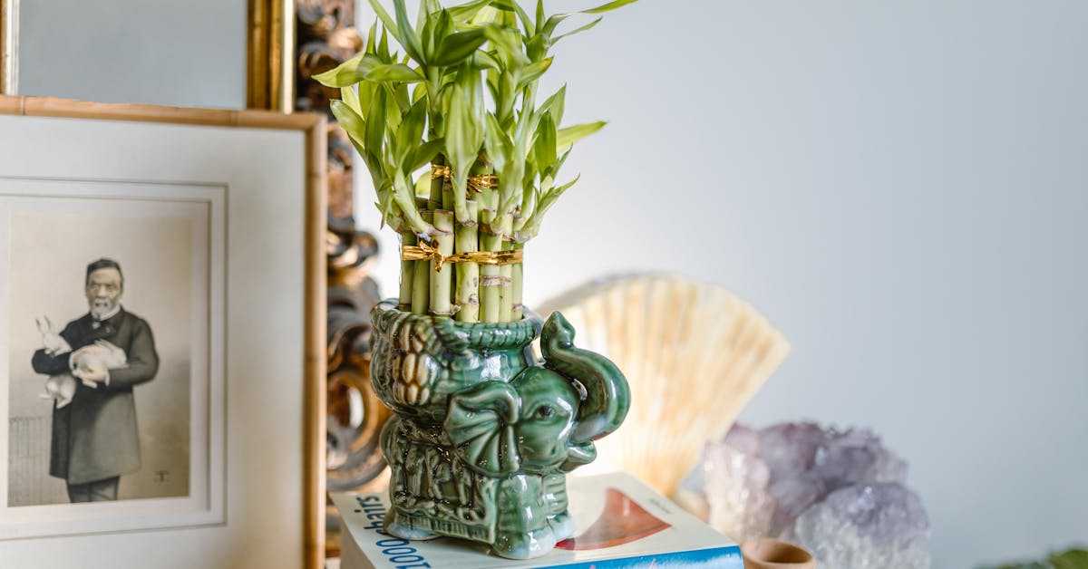 Kako Prilagoditi Svoj Dom za Privlačenje Sreće i Bogatstva: Savjeti za Uređenje i Feng Shui