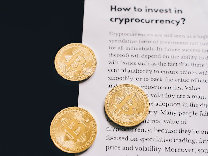 **Kako Zaraditi Novac Uzgojem Biljaka u Bašti: Vodič za Početnike** - Third Image