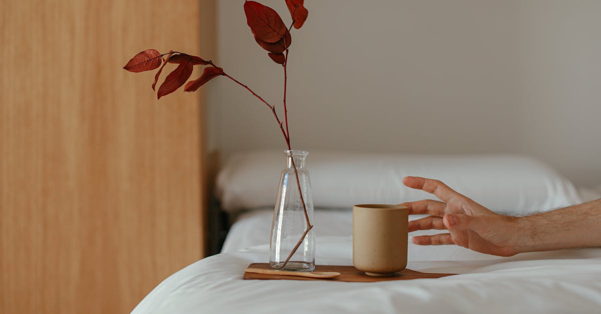 Top 4 Palete Boja za Udoban Dom: Kako Odabrati Boje koje Zagrijavaju Prostor