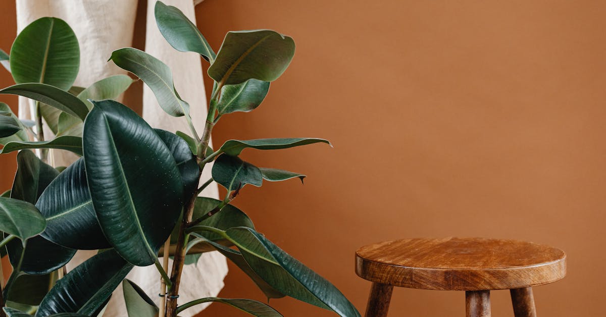 Top 5 Paleta Boja za Uređenje Doma: Kako Stvoriti Toplu i Udobnu Atmosferu