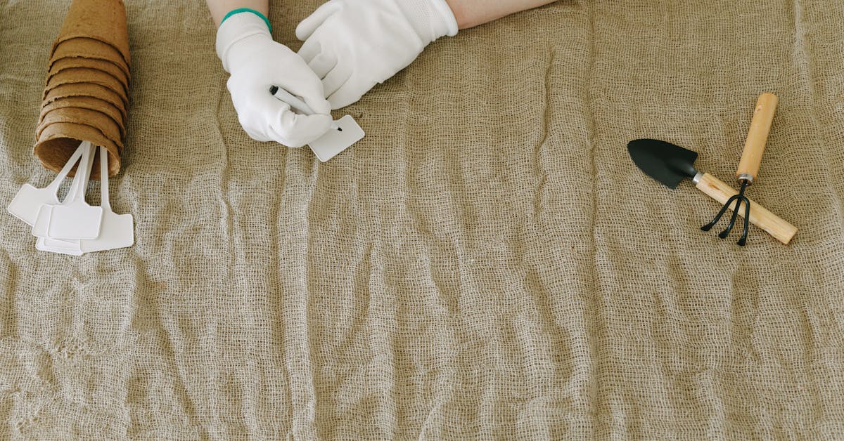 Kada i Kako Pravilno Saditi Biljke: Savjeti za Uspješan Vrt