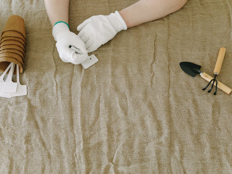 **Optimalni Savjeti za Pripremu Vrta: Šta Posaditi Ove Godine za Bogatu Baštu** - Third Image