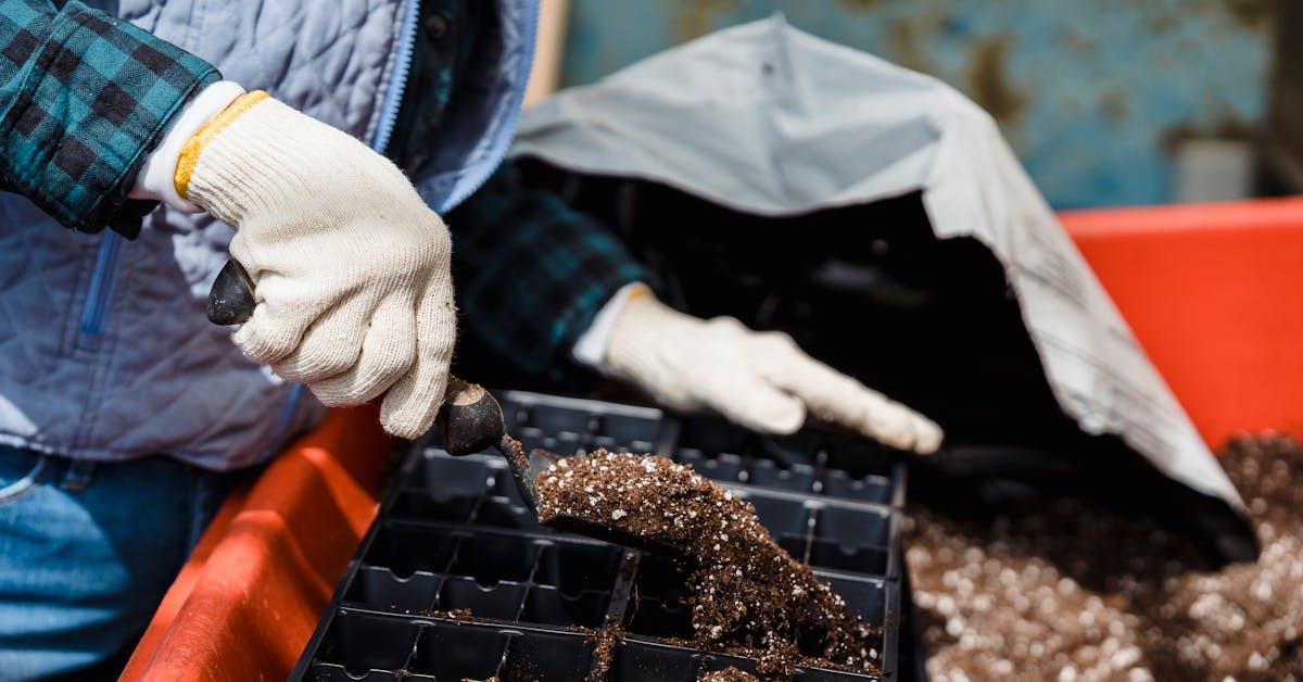 Kako Stvoriti Zeleni Raj: Savjeti za Proljetno Baštovanstvo i Uživanje u Prirodi