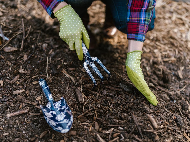 **Optimalne Pripreme za Vrt i Baštu: Najbolje Biljke za Sadnju u 2023. Godini** - Second Image