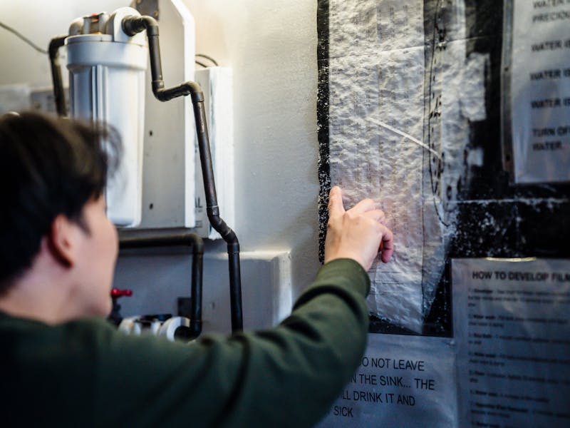 **Kada i Kako Pravilno Posaditi Biljke: Vodič za Uspješno Sađenje u Proljeće i Jesen** - Second Image