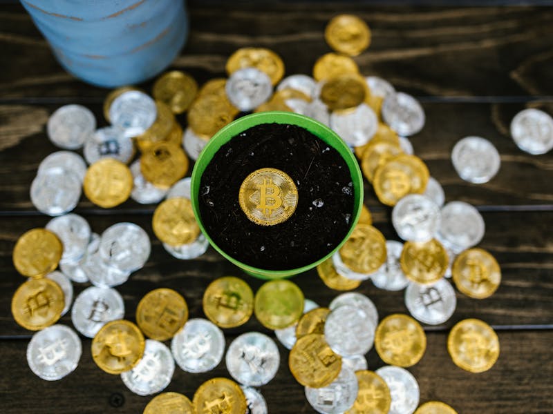 **Kako Zaraditi Novac Uzgajanjem Biljaka: Vodič za Baštovane** - Third Image