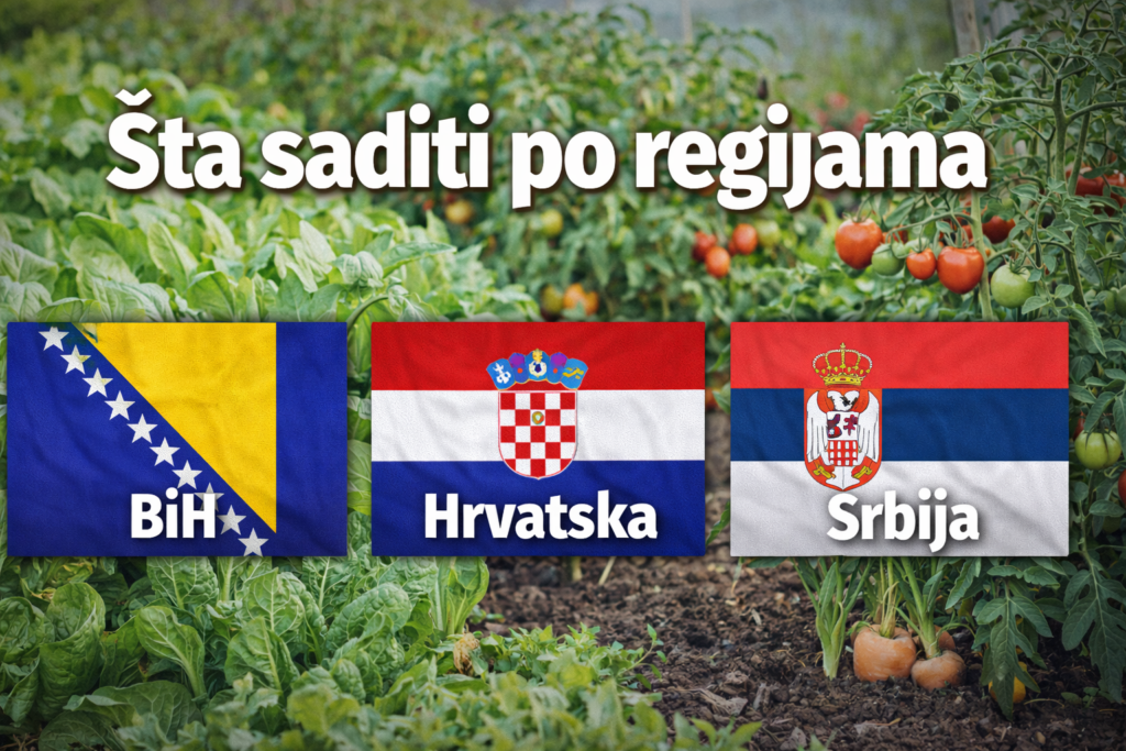 regije