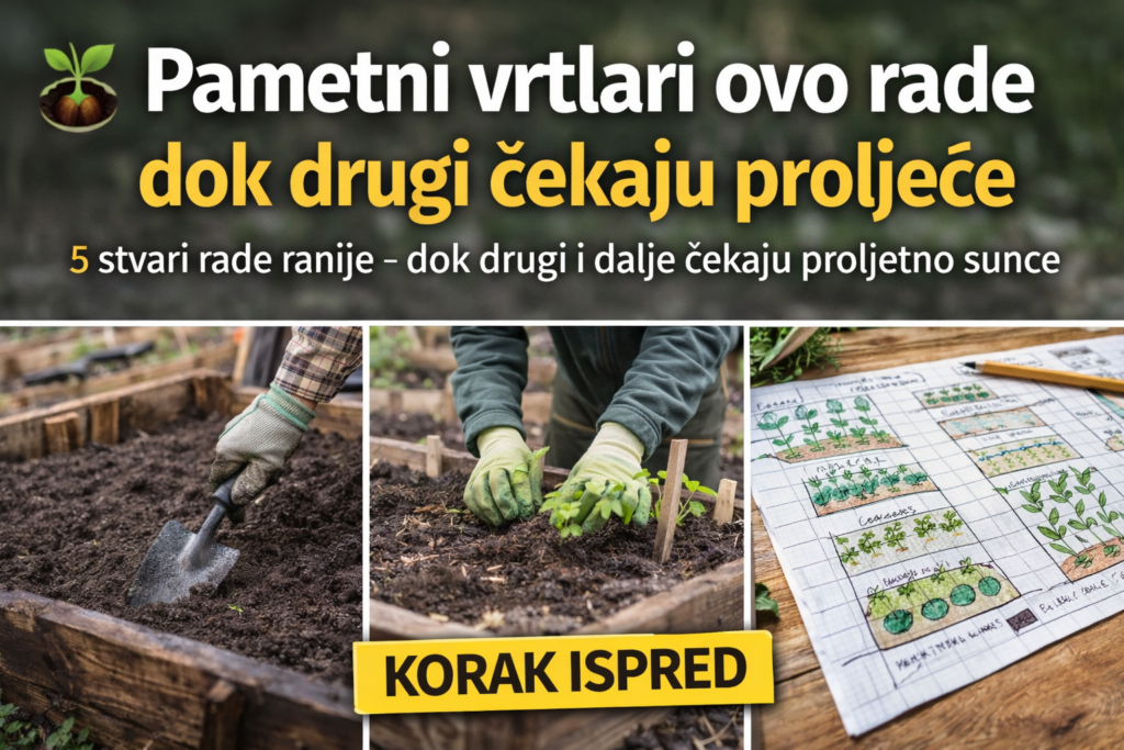 vr1t