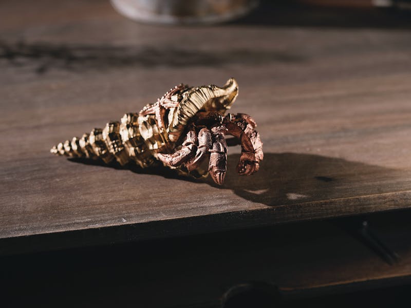 ** Kako Izraditi Unikatne Dekoracije, Poklone i Osvježiti Namještaj** - Third Image