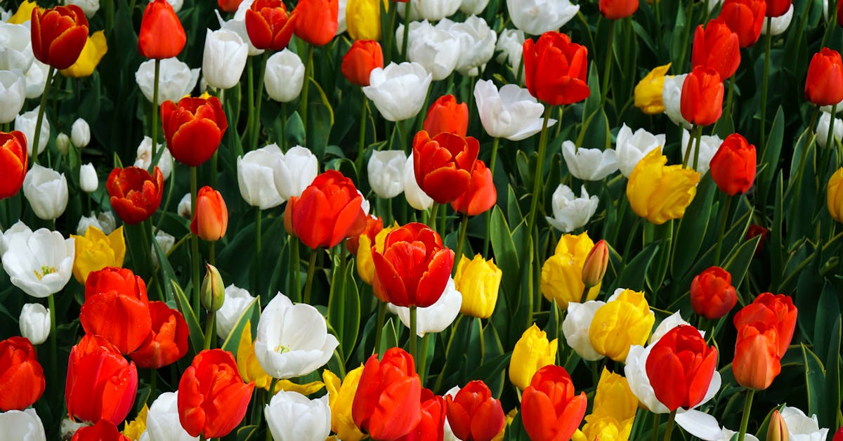 Proljetne Ideje za Vrt: Kako Unaprijediti Svoj Vrt i Uživati u Prirodi