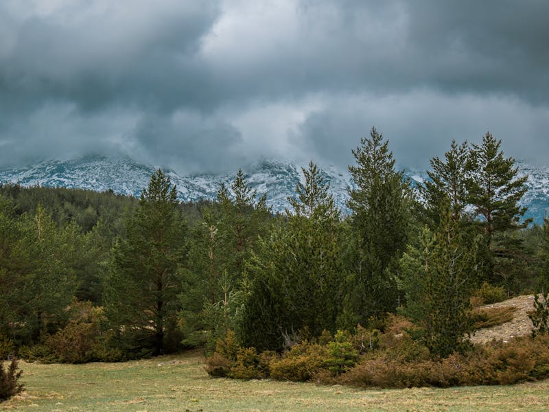 **Optimalno Vreme za Sadnju Biljaka: Savjeti za Uspješan Vrt u Bosni i Hercegovini** - Third Image