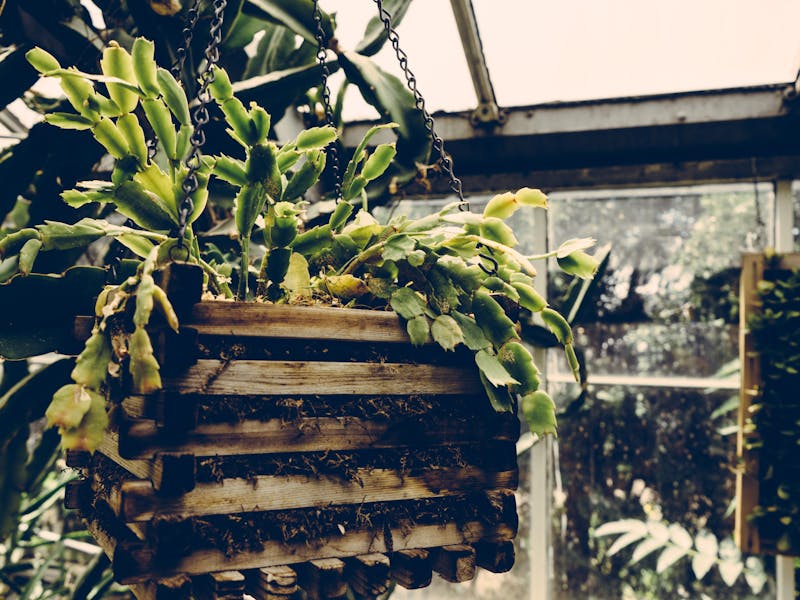 **Kada i Kako Pravilno Saditi Biljke: Vodič za Uspješno Vrtlarstvo** - Third Image