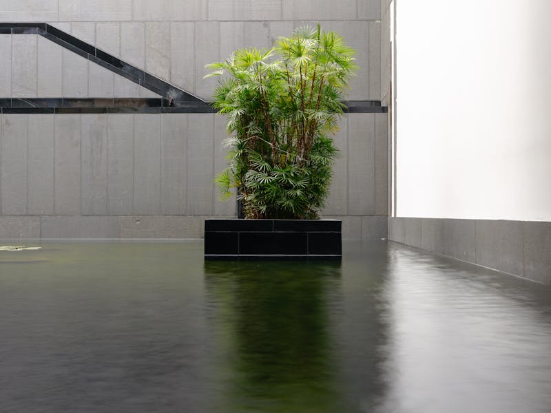 ** Kako Zen Dizajn Enterijera Može Transformisati Vaš Dom u Oazu Mira i Sreće** - Third Image