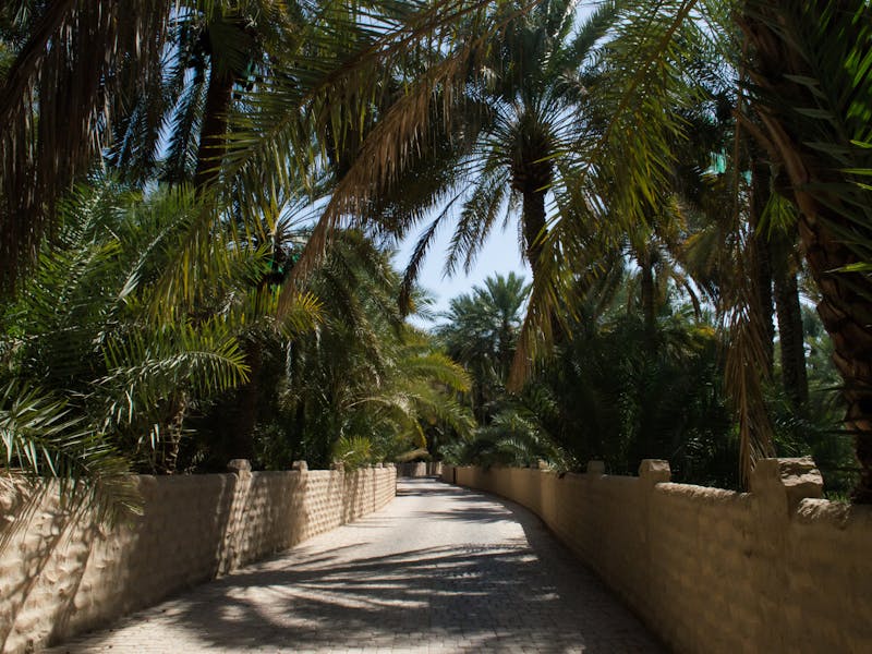 **Kako Stvoriti Oazu Prirode: Savjeti za Njegu Vašeg Vrta i Bašte** - Fourth Image