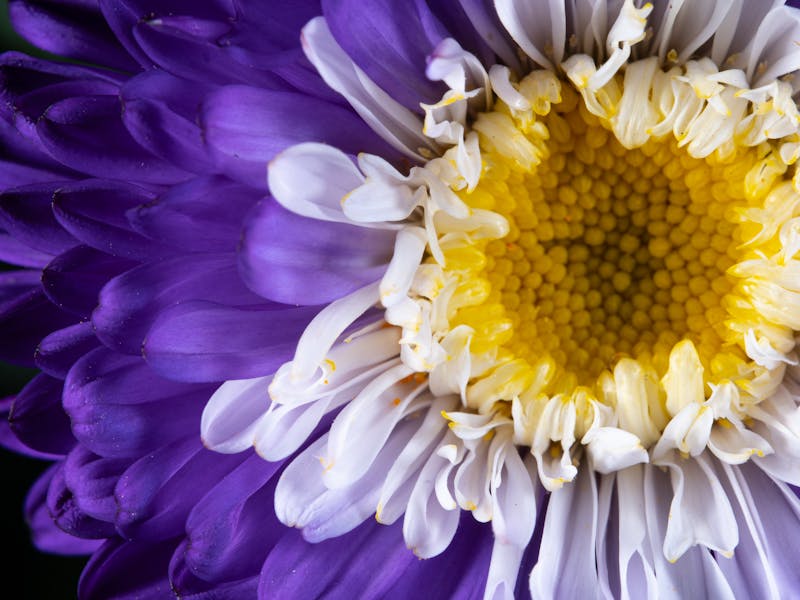 **Proljetne Ideje za Uređenje Bašte: Savjeti za Revitalizaciju i Kreativnost** - Fourth Image