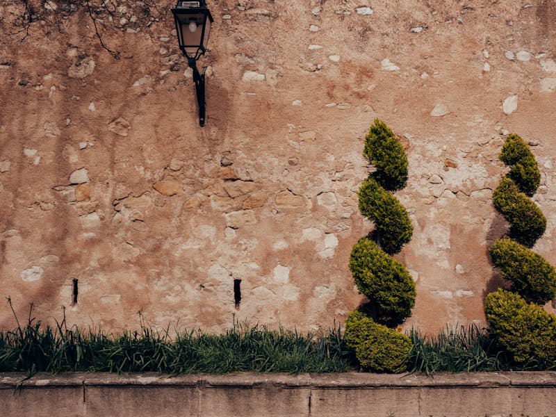 **Proljetna Čarolija: Ideje za Uređenje Bašte i Dvorišta** - Fourth Image