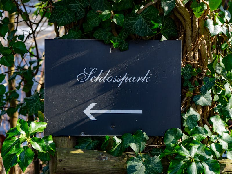 **Kada i kako pravilno saditi biljke: Vodič za uspješno vrtlarstvo** - Third Image