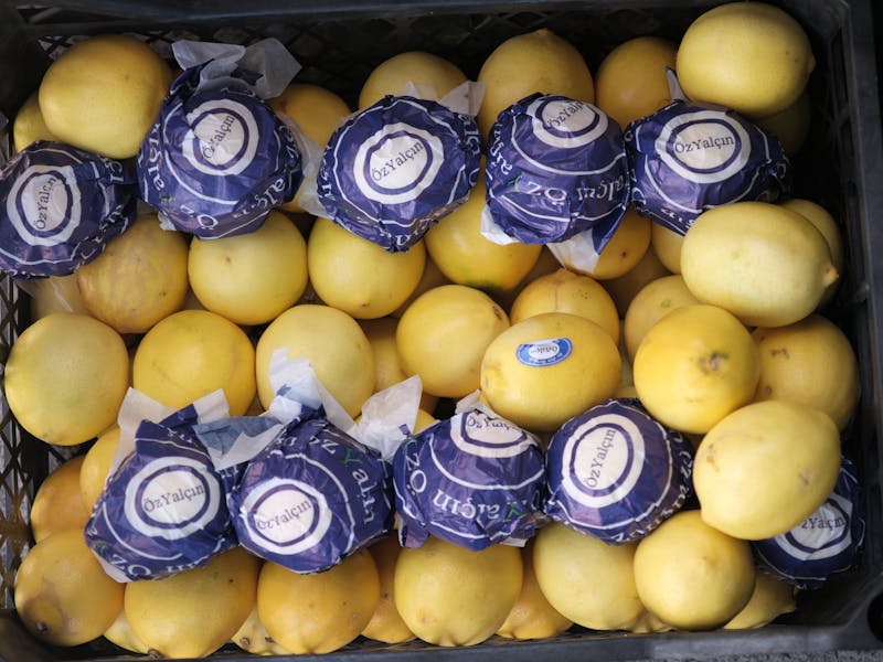 ** Vodič za Početnike: Šta Prvo Posaditi od Voća i Povrća – Lako i Efikasno** - Third Image