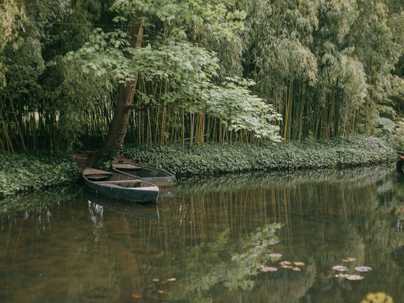 ** Kako Zaraditi Novac od Baštovanstva: 6 Ideja za Monetizaciju Vaših Vještina** - Fourth Image