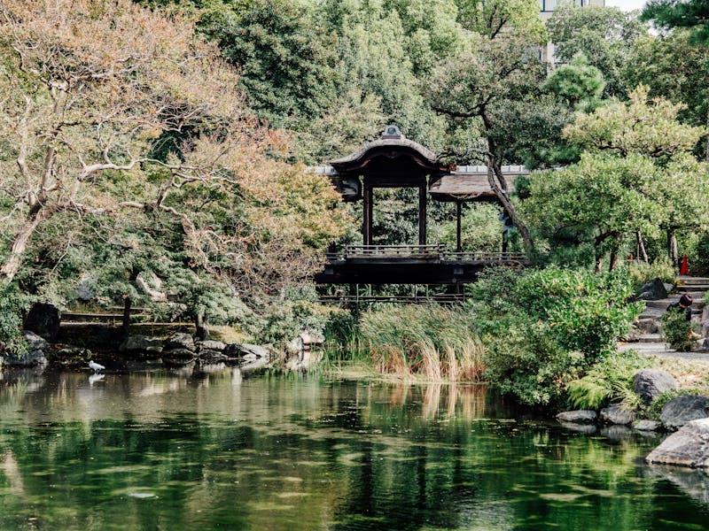 **Kako Stvoriti Oazu Prirode: Savjeti za Održavanje Lijepog i Zdravog Vrta** - Third Image