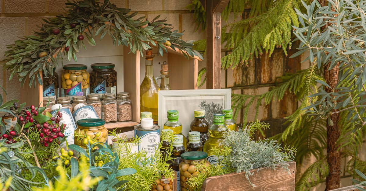 Kako Uzgojiti Začinsko Bilje u Vrtu: Savjeti za Bosiljak, Peršun, Majčinu Dušicu, Origano i Ružmarin