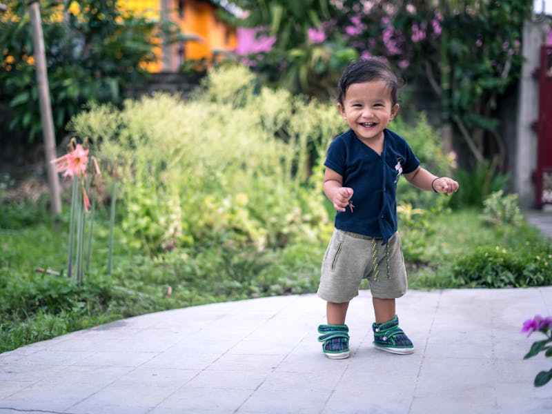 ** Prvi Koraci u Vrtlarstvu: Šta Posaditi Prvo od Voća ili Povrća za Početnike** - Third Image
