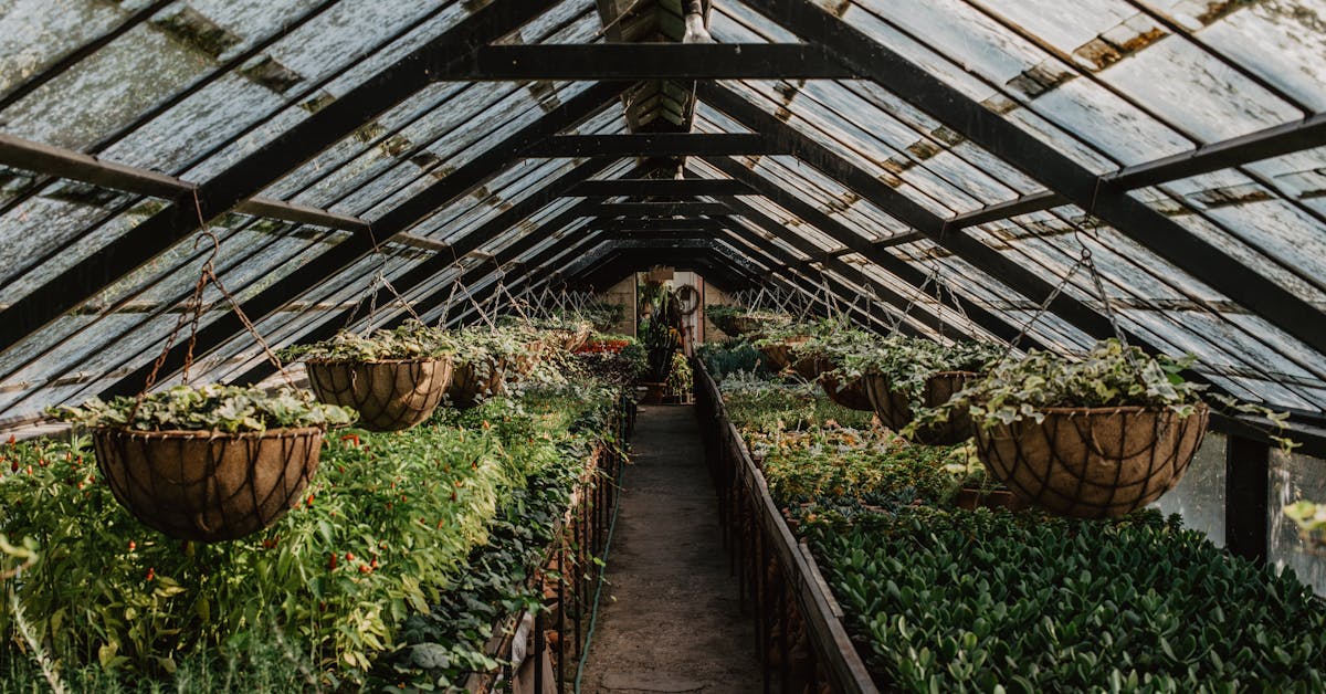 Najbolje Biljke za Sadnju u Vrtu i Bašti 2023: Savjeti za Uspješnu Pripremu i Uzgoj