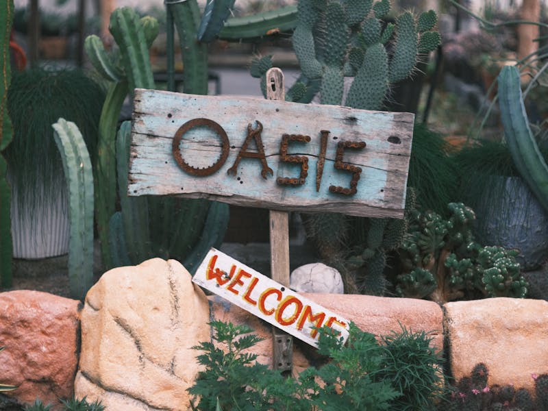 **Kako Stvoriti Oazu Prirode: Savjeti za Održavanje Lijepog i Zdravog Vrta** - Second Image