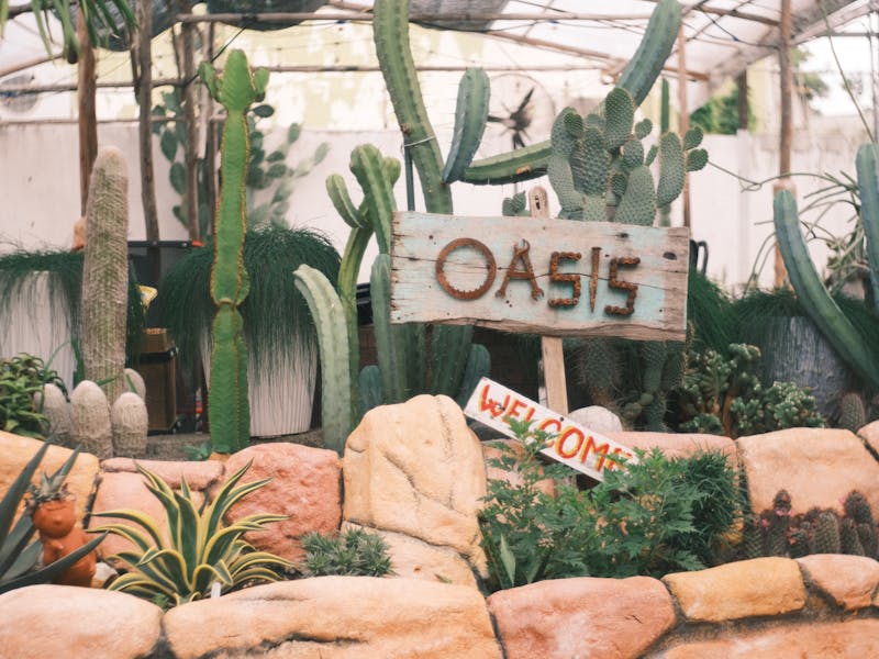 **Kako Stvoriti Oazu Prirode: Savjeti za Održavanje Lijepog i Zdravog Vrta** - Fourth Image