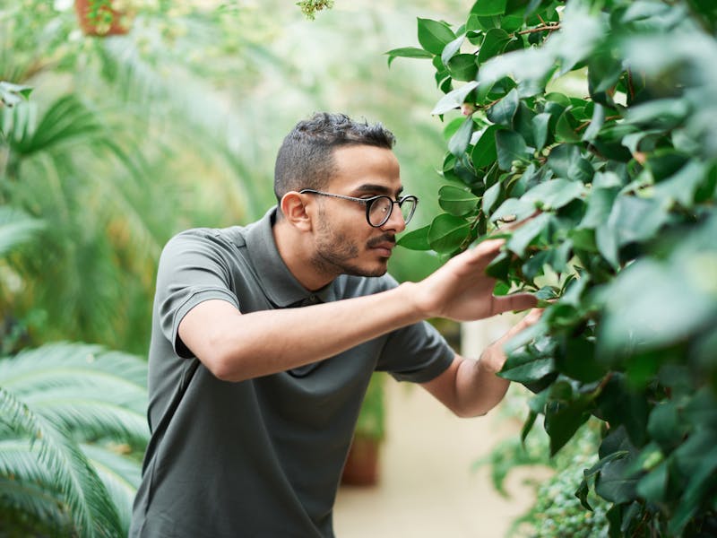 **Optimalno Vrijeme i Pravilne Tehnike za Sadnju Biljaka: Vodič za Uspješan Vrt** - Second Image