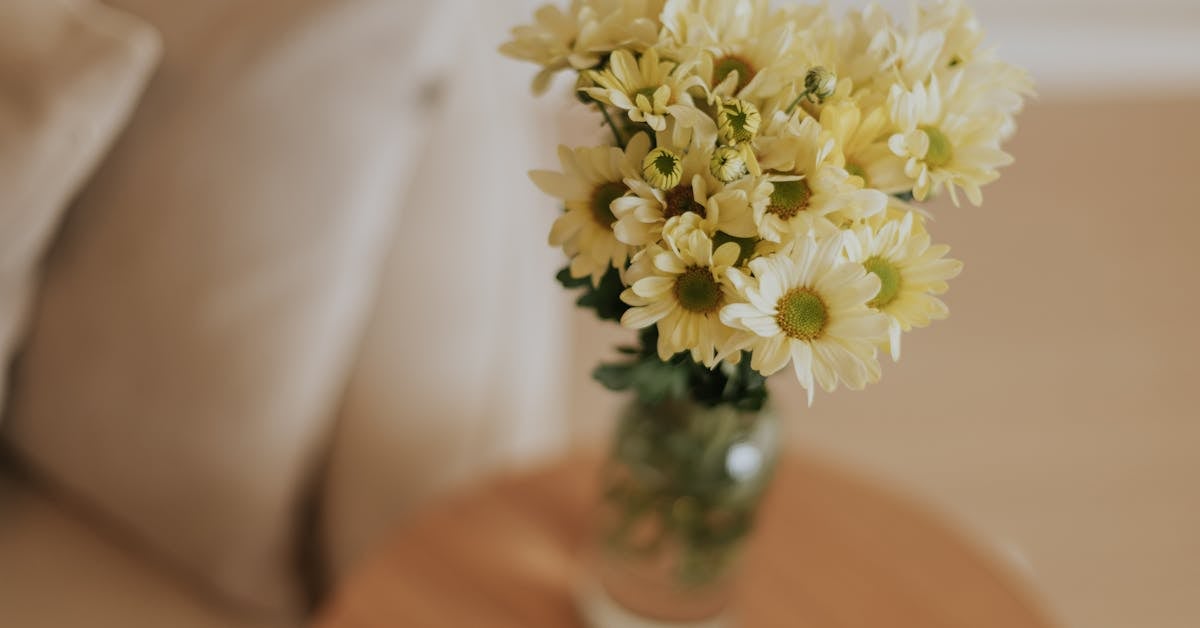 Top 5 Paleta Boja za Uređenje Doma: Kako Stvoriti Toplu i Udobnu Atmosferu