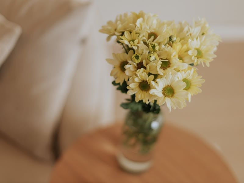 Top 5 Paleta Boja za Uređenje Doma: Stvorite Toplu i Udobnu Atmosferu - Fourth Image