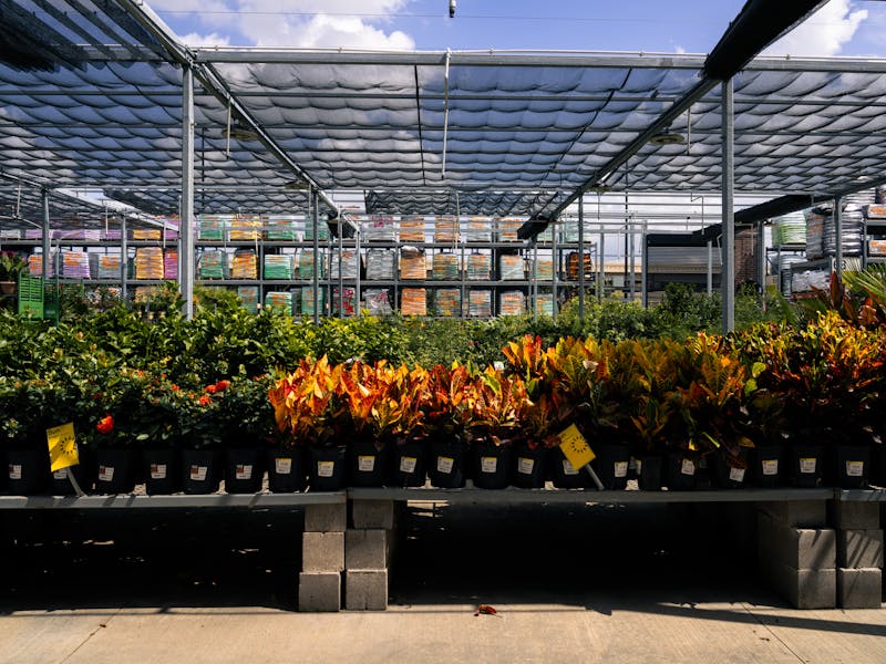 **Najbolje Biljke za Sadnju u Vrtu i Bašti 2023: Savjeti za Uspješan Uzgoj** - Third Image