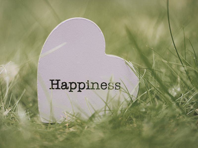 **Optimizujte svoj dom za sreću i bogatstvo: Savjeti za privlačenje pozitivne energije** - Third Image