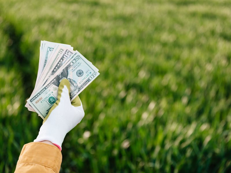 **Kako Zaraditi Novac od Baštovanstva: 6 Profitabilnih Ideja za Uzgajivače** - Second Image