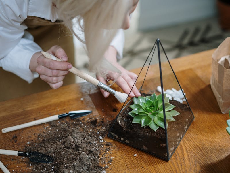 ** Kreativni Projekti za Osvježavanje Doma i Vrta** - Second Image