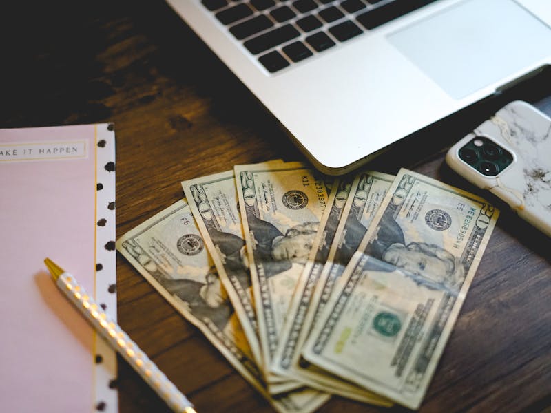 **Kako Zaraditi Novac Sađenjem u Bašti: Vodič za Uspješnu Organsku Proizvodnju i Prodaju** - Second Image